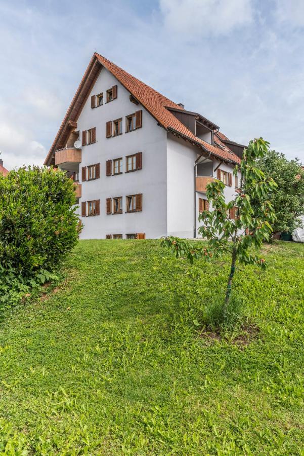 Rh-Appartements 15 Minuten Von Basel Im Dorf Ruehrberg Ґренцах-Вілен Екстер'єр фото
